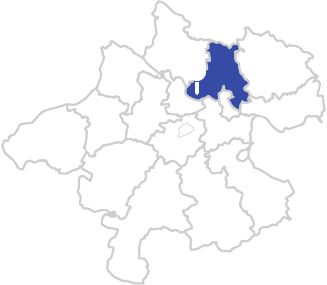 map-pin